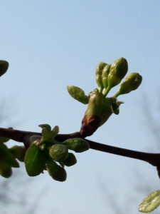 20190426_094635.jpg