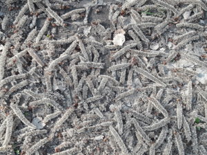 20190426_094432.jpg