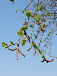 20190426_101135.jpg