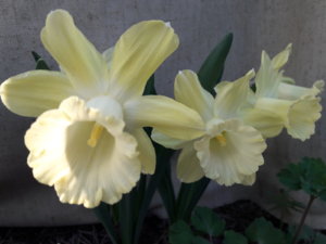 20190426_170302.jpg