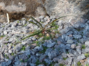 DSCN9598.JPG