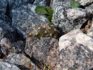 DSCN9599.JPG