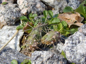 DSCN9602.JPG