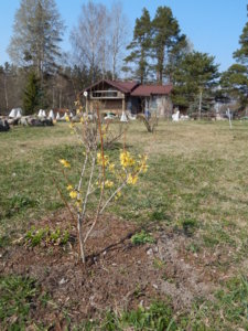 DSCN9594.JPG
