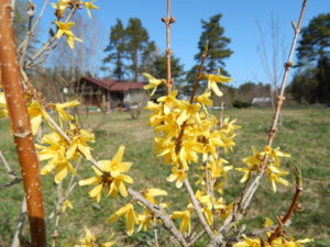 DSCN9672.JPG