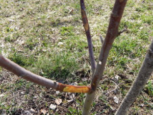 DSCN9739.JPG