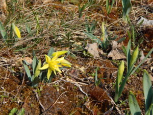 DSCN9609.JPG