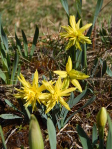 DSCN9714.JPG