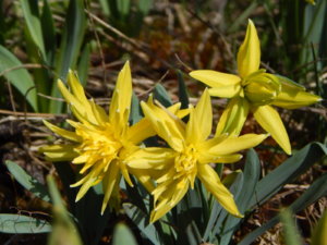 DSCN9717.JPG