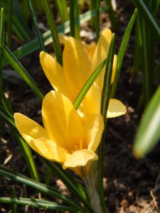 DSCN9620.JPG