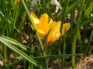 DSCN9622.JPG