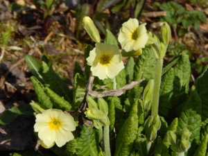 DSCN9708.JPG