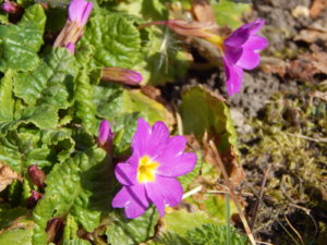 DSCN9709.JPG