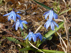DSCN9606.JPG