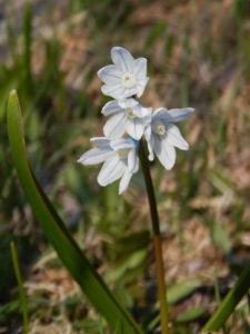 DSCN9617.JPG