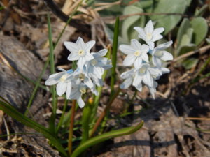 DSCN9618.JPG