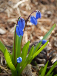 DSCN9663.JPG