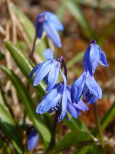DSCN9718.JPG