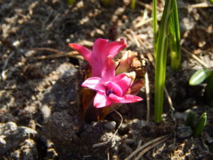 DSCN9729.JPG