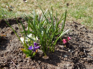 DSCN9732.JPG
