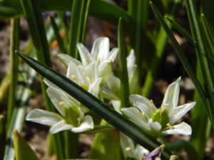 DSCN9734.JPG