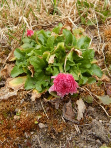 DSCN9626.JPG