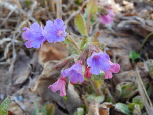 DSCN9660.JPG