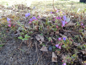 DSCN9661.JPG