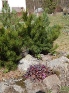 DSCN9686.JPG