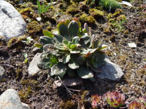 DSCN9704.JPG