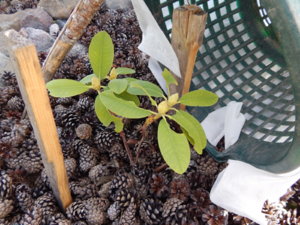 DSCN9727.JPG