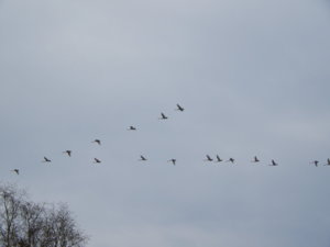 DSCN9624.JPG