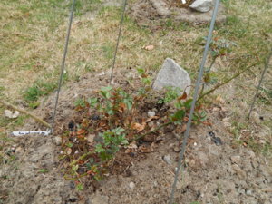DSCN9636.JPG