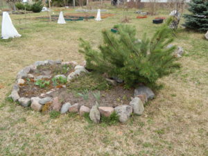 DSCN9644.JPG