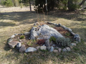 DSCN9664.JPG