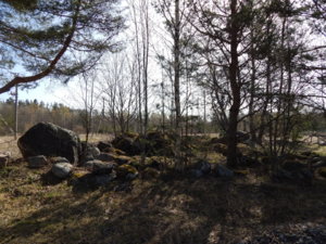 DSCN9665.JPG