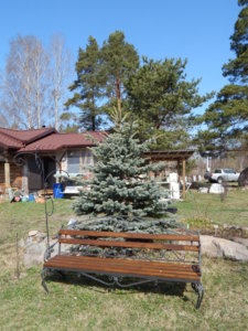 DSCN9722.JPG