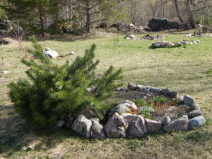DSCN9723.JPG