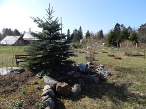 DSCN9726.JPG