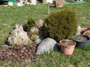 DSCN9742.JPG