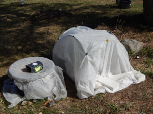 DSCN9728.JPG