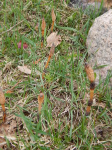 DSCN9640.JPG