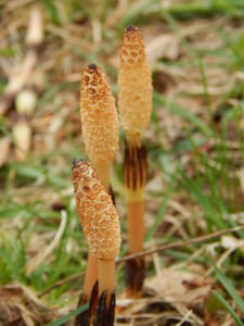 DSCN9642.JPG