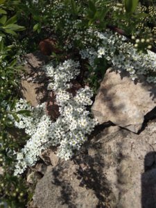 IMG_20190427_130119.jpg