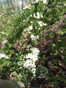 IMG_20190427_130046.jpg