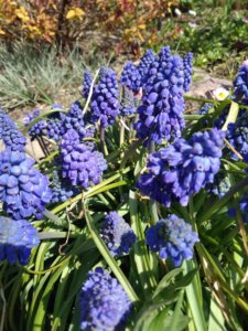 IMG_20190427_113614.jpg