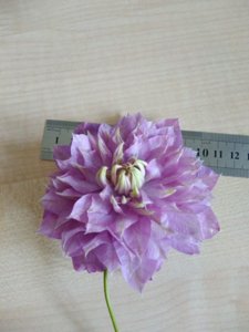 IMG_20190429_085202.jpg