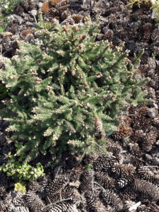 20190501_112706.jpg