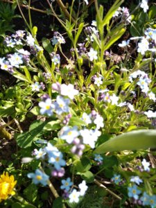 IMG_20190501_092214.jpg