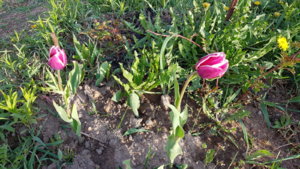 20190501_190414.jpg